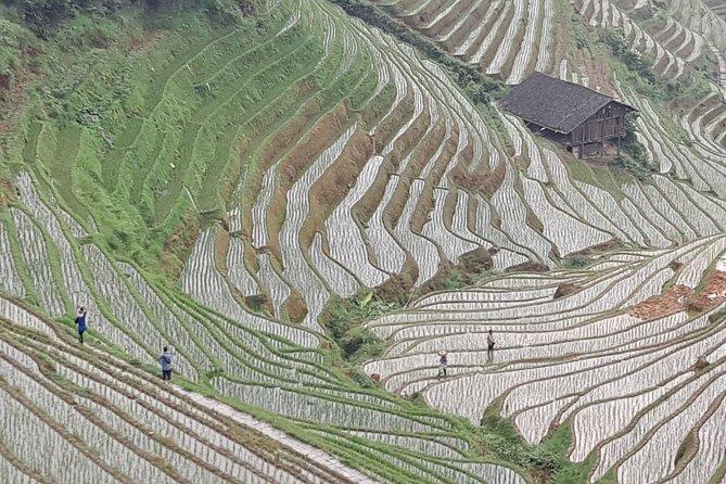 1-Day Longji Terrace Fields-Dazhai village Tour with the English Speaking Driver - Why the Longji Terraces make a good day trip from Guilin