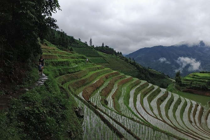 1-Day Longji Terrace Fields-Pingan village Tour with the English Speaking Driver - Pingan Village and Its Zhuang Houses