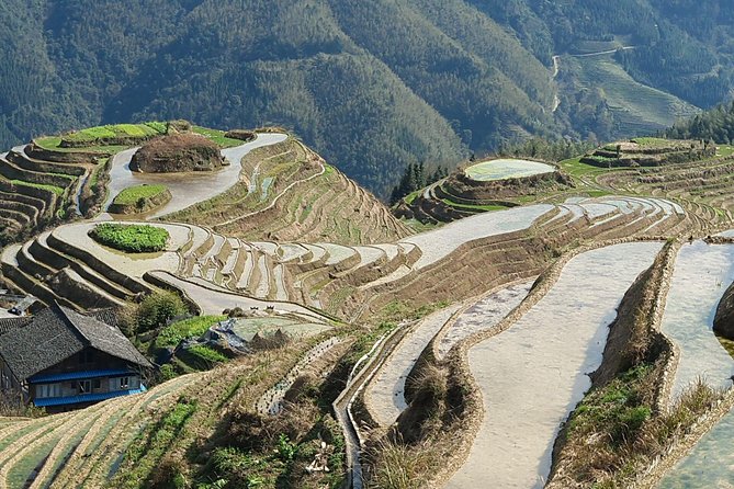 1-Day Longji Terrace Fields-Pingan village Tour with the English Speaking Driver - Who Will Enjoy This Tour Most