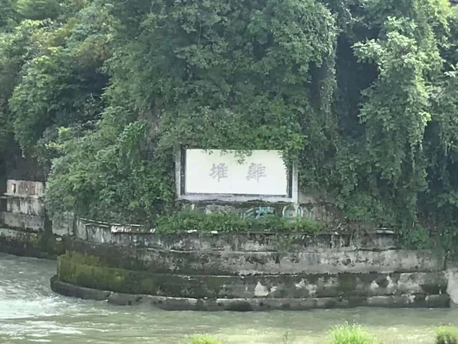 1-Day Mount Qingcheng and Dujiangyan Irrigation System Tour - Who should book this experience