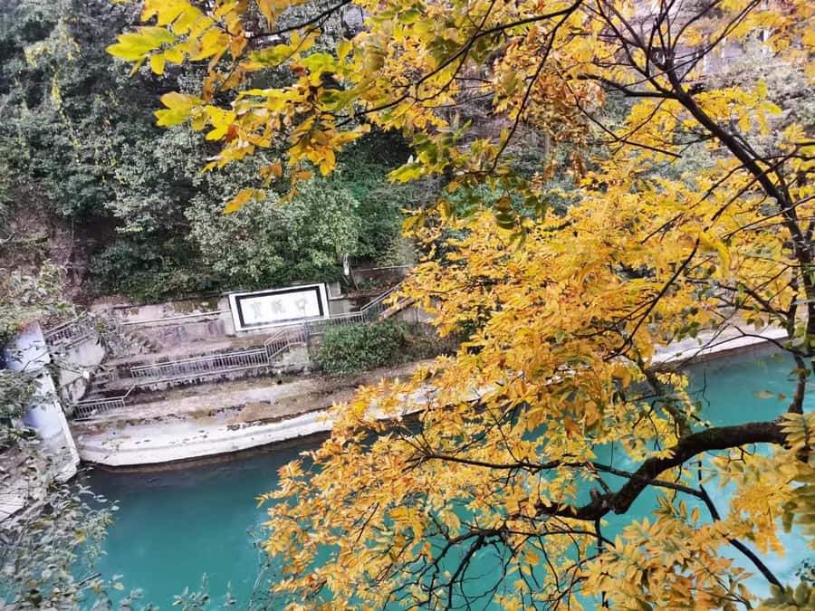 1-Day Mount Qingcheng and Dujiangyan Irrigation System Tour - Why this Chengdu day trip works