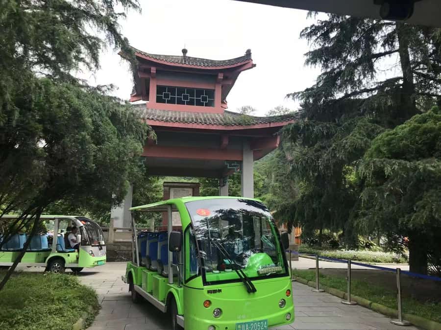 1-Day Mount Qingcheng and Dujiangyan Irrigation System Tour - What the mountain visit feels like in practice