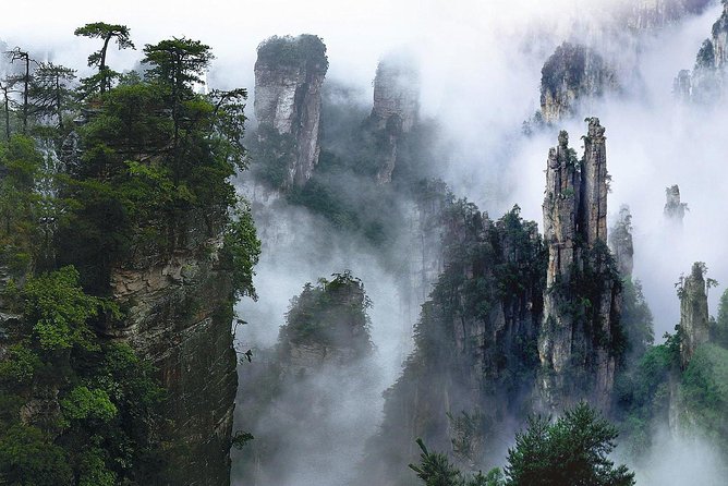 1-Day Private Tour to ZJJ National Forest Park & Avatar Mountain - The early route to Golden Whip Brook