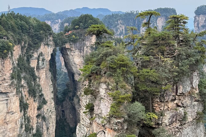 1-Day Private Zhangjiajie Tour to Avatar Mountain & Glass Bridge - Zhangjiajie National Forest Park and the Avatar scenery