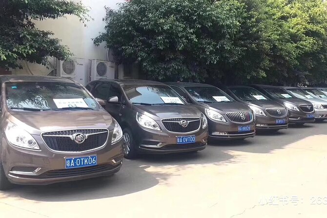 1-Day Sanya Customized Itinerary Charter Car Service - The driver’s role is helpful, but not the same as a guide