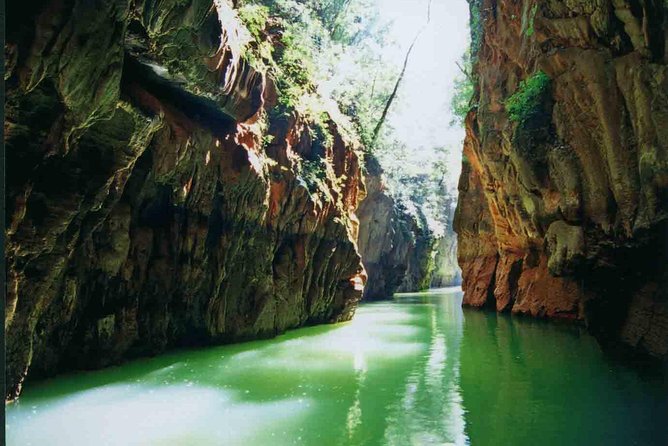 1 Day Stone Forest & Jiuxiang Cave Tour - Walking through the Stone Forest’s stone trees
