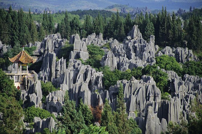1 Day Stone Forest & Jiuxiang Cave Tour - Guide service and the feel of the day