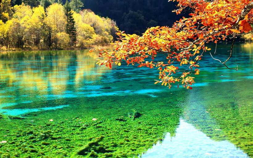 2 Day Chengdu to Jiuzhaigou&Huanglong Self-Guided w/Transfer - Day 1: Chengdu to Jiuzhaigou by high-speed train