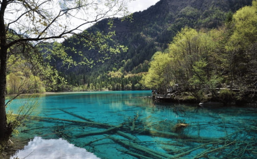 2 Day Chengdu to Jiuzhaigou&Huanglong Self-Guided w/Transfer - The best season for this tight schedule