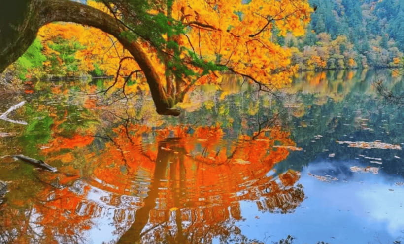 2 Day Chengdu to Jiuzhaigou&Huanglong Self-Guided w/Transfer - Who should book this experience?