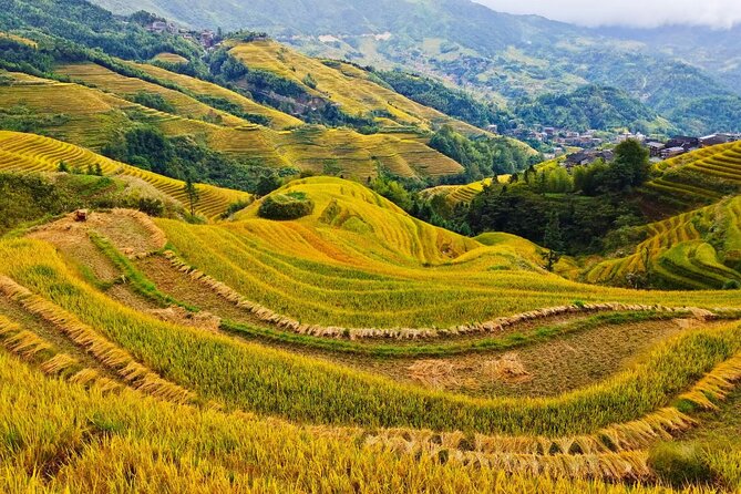 2 Day Guilin Highlights Li River Cruise and Longji Terraces Tour - Who should choose this Guilin tour?