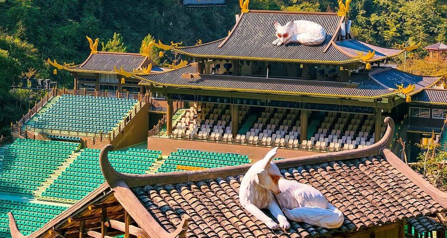2-Day Private Zhangjiajie Tour Avatar Mountain, Glass Bridge - Day Two: The Zhangjiajie Grand Canyon Glass Bridge