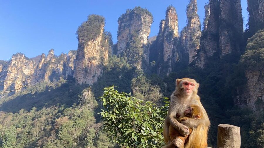 4-Day Highlights of Zhangjiajie With Sunrise Experience - What the $366 Price Includes, and What It Does Not