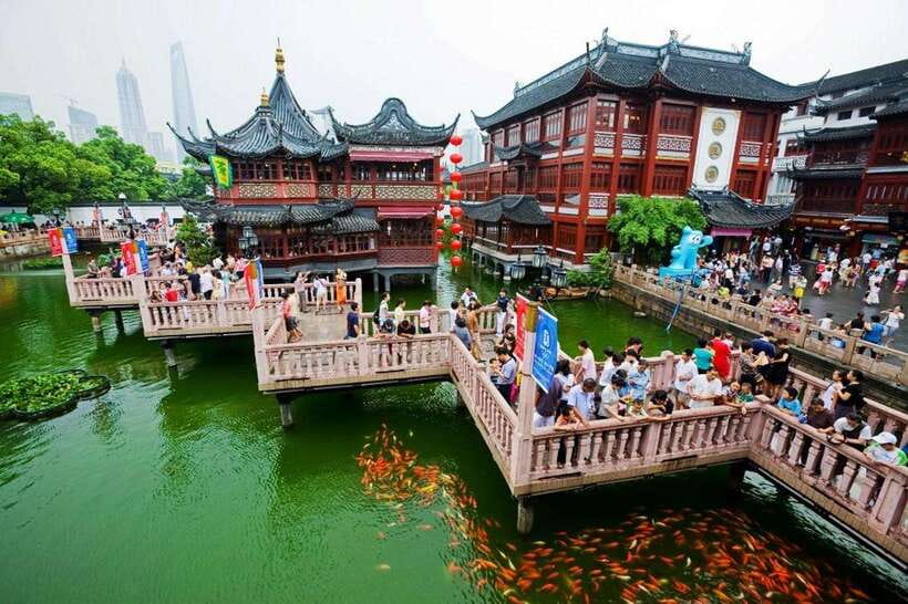 4-Hour Shanghai Best Garden and Temple Tour with Tea Tasting - Should you book this Shanghai temple, garden, and tea tour?