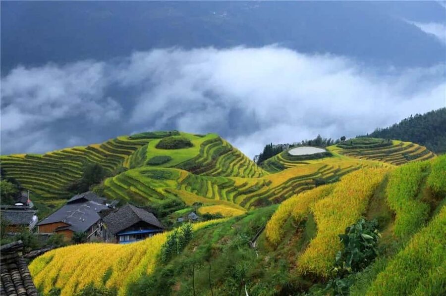 6-Day Private Tour: Guilin Terraces, Fenghuang & Zhangjiajie - A six-day route through China’s most dramatic scenery
