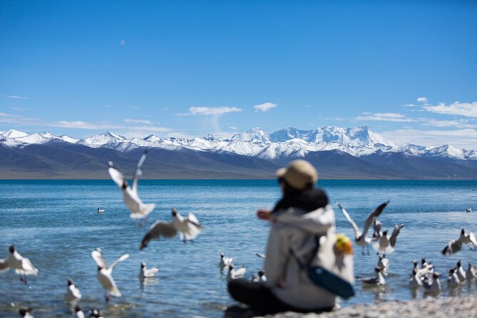 6 Days Lhasa Gyantse Shigatse Group Tour - Arrival in Lhasa: keep the first day gentle