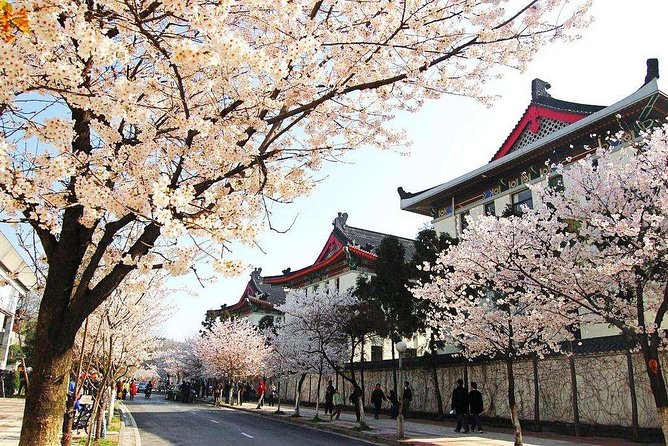 All Inclusive Nanjing City Private Day Tour with Tailor-Made Highlights - Sun Yat-sen’s Mausoleum and its long approach