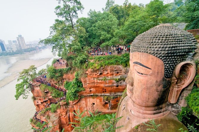 All Inclusive Private Trip to Chengdu Giant Panda Base and Leshan Giant Buddha - Key points to know before booking
