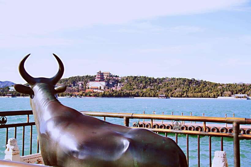 Beijing 2-Day Highlights including Great Wall with Options - Choosing your transport option