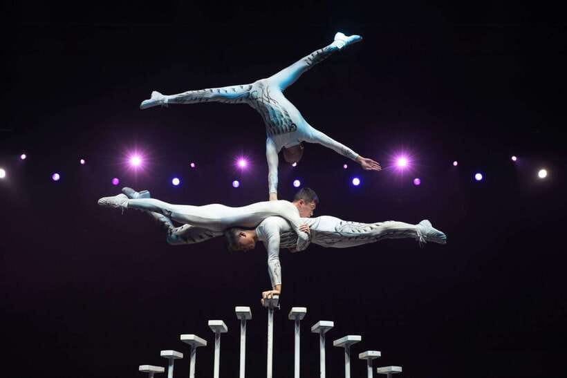 Beijing: Acrobatic Show Tickets Traditional & Modern Fusion - Who should book this performance?