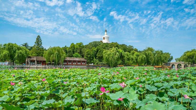 Beijing: Beihai Park Entry Ticket & English PDF Guidebook - Why Beihai Park Works as a Three-Hour Visit