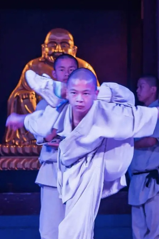 Beijing:Bullet Train Day Tour to Shaolin Temple&Martial Arts - Shaolin Temple and its Buddhist roots