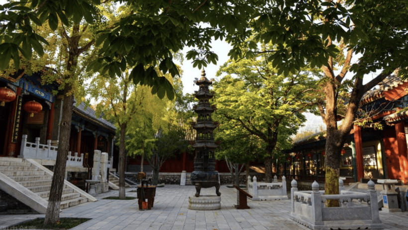 Beijing:Bullet Train Day Tour to Shaolin Temple&Martial Arts - The return journey to Beijing