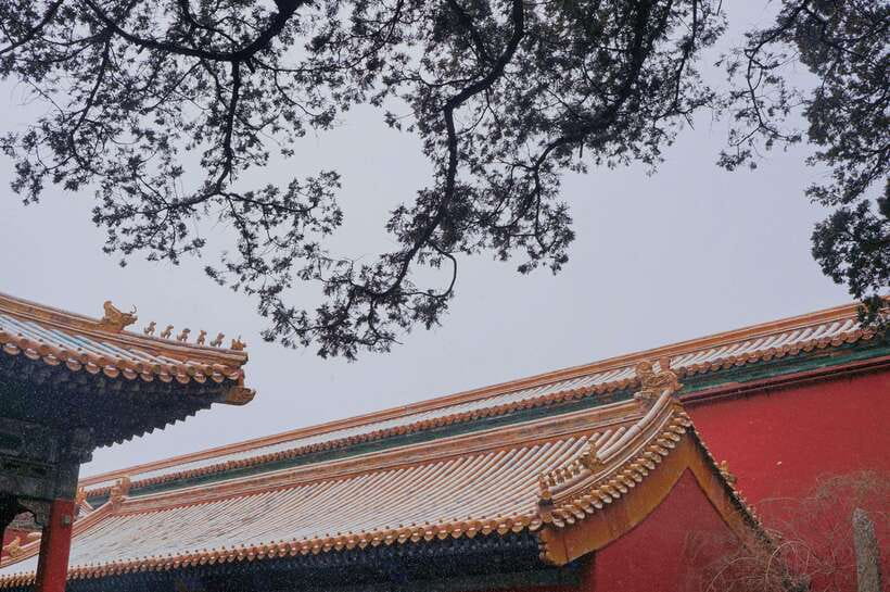 Beijing:Forbidden City & Tian'anmen Square with entry ticket - The Jinshan Park viewpoint option