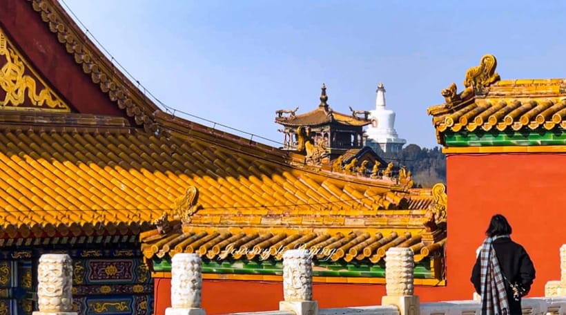 Beijing: Highlights of Forbidden City Private Walking Tour - Timing, weather, and what to bring