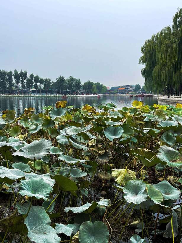 Beijing: Hutongs & Drum Tower City Walking Tour - How much value do you get for $69?