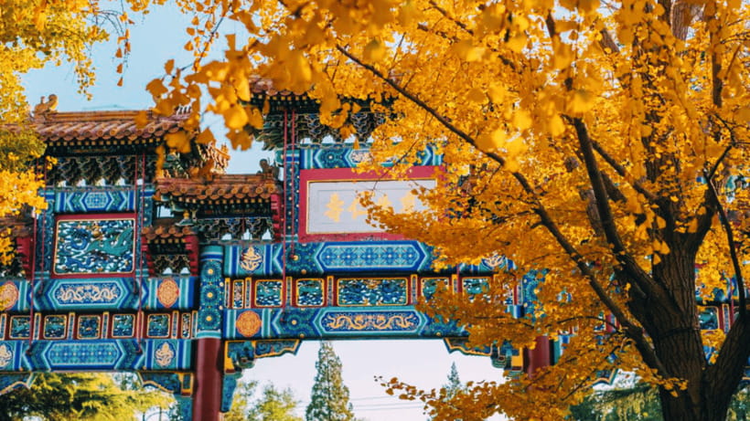 Beijing: Lama Temple (Yonghe Temple) Admission Ticket - An active temple, not a staged attraction