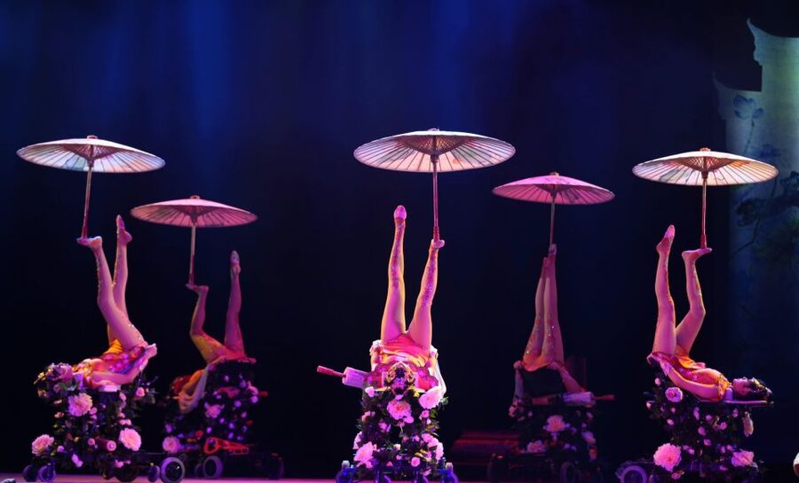 Beijing Night Tour with Acrobatics Show & PekingDuck Dinner - What the private format really gives you
