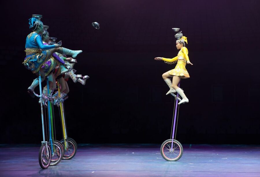 Beijing Night Tour with Acrobatics Show & PekingDuck Dinner - Who will enjoy this five-hour plan