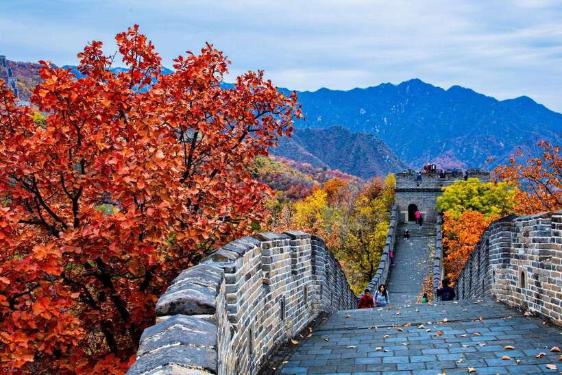 Beijing: Panda House w/Great Wall or City Sites Private Tour - Who will get the most from this tour