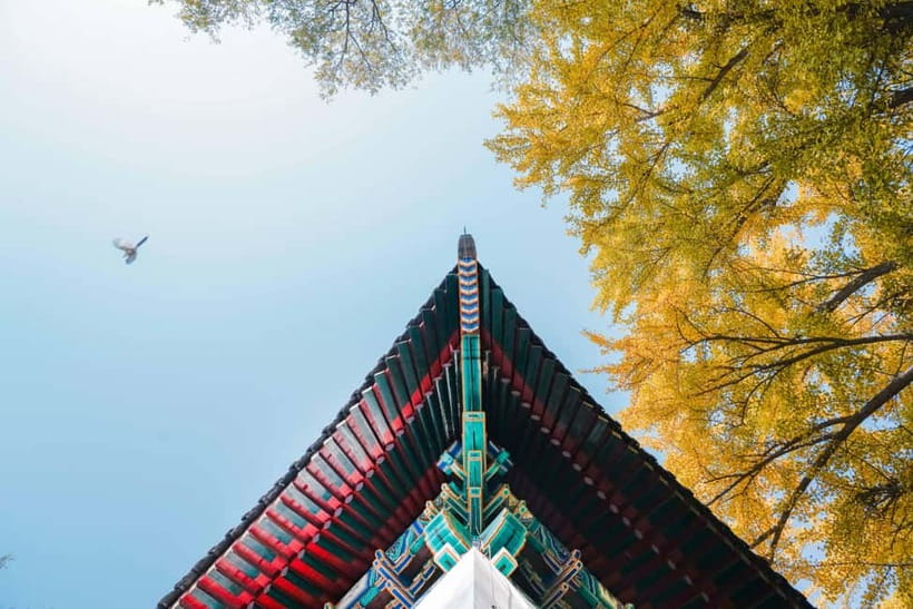 Beijing: Peking University Campus Guided Walking Tour - Yenching University, Yuanmingyuan, and Heshen