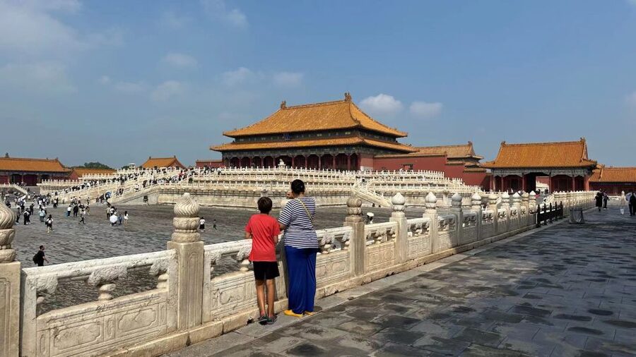 Beijing Private Custom Tour: Licensed Guide&Transfer Service - Who should book this Beijing tour?