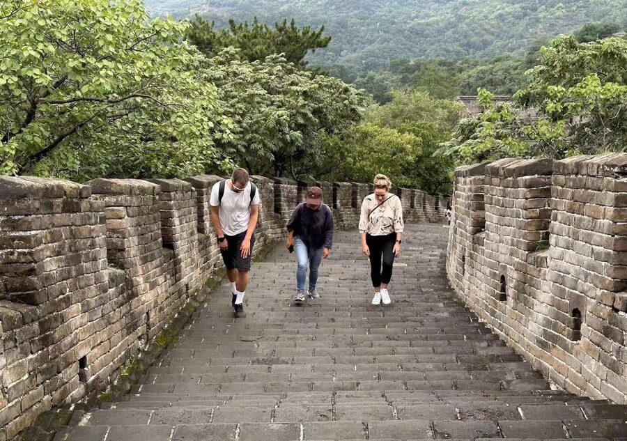 Beijing Private Custom Tour: Licensed Guide&Transfer Service - Practical booking advice before you go
