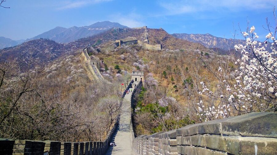 Beijing Private Custom Tour: Licensed Guide&Transfer Service - Should you book it?