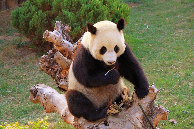 Beijing Private Tour to Temple of Heaven, Panda House and Summer Palace - Summer Palace: imperial gardens on a grand scale