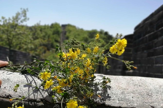 Beijing Private Transfer: Badaling Great Wall with VIP Past Pass - Entering Badaling with the VIP access perk