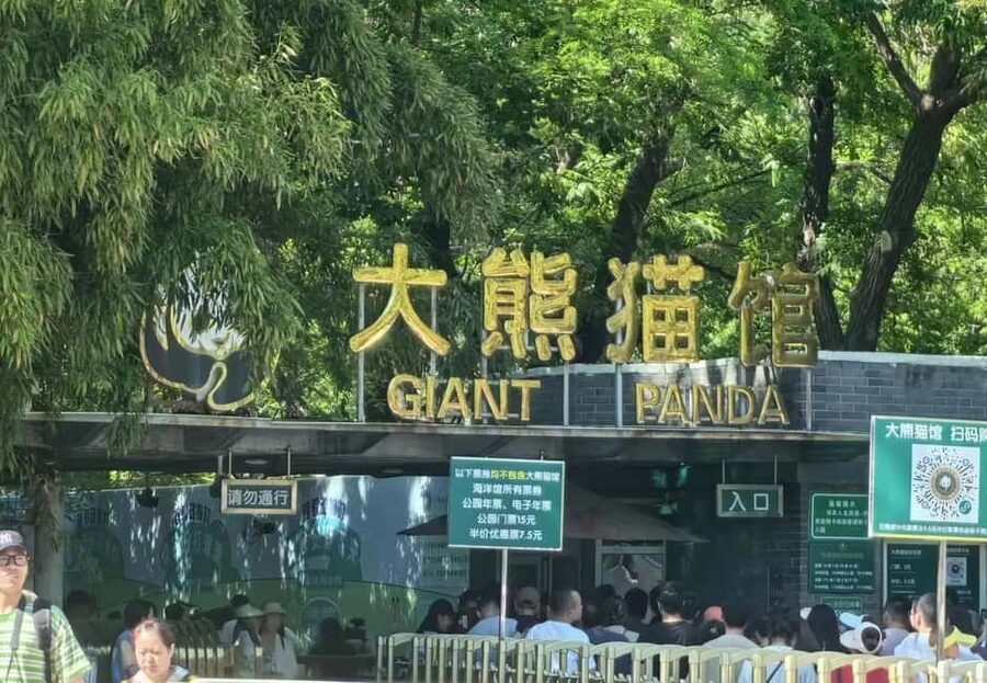 Beijing: Private Transfer to Great Wall & City Highlights - Accessibility and practical limits
