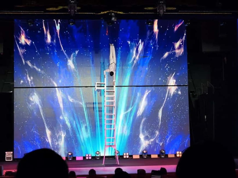 Beijing: Qinle Palace Acrobatics Show Ticket - Who should book this Beijing acrobatics show?