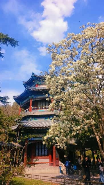 Beijing: Summer Palace Highlight Walking Tour - Timing, Pace, and Practical Limits