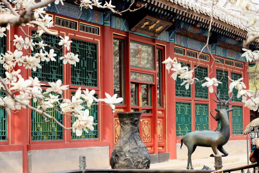 Beijing: Summer Palace, Sacred Road&Ming Tombs Private Tour - Choosing between Dingling and Changling