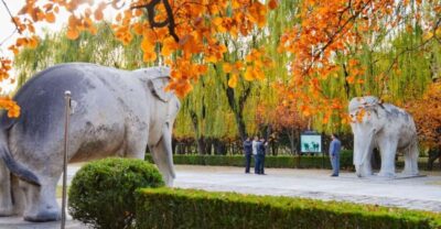 Summer Palace, Sacred Road&Ming Tombs Private Tour