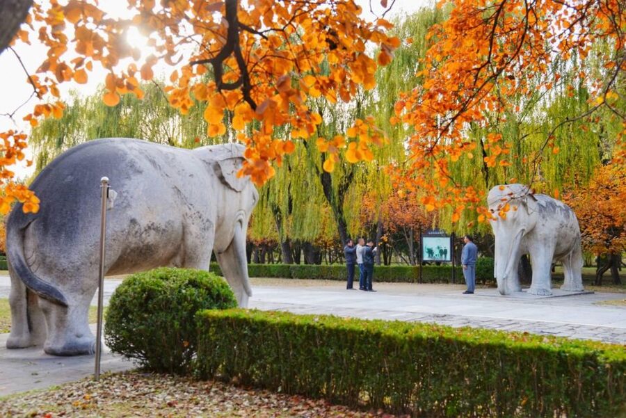 Beijing: Summer Palace, Sacred Road&Ming Tombs Private Tour - A traditional lunch between the sights