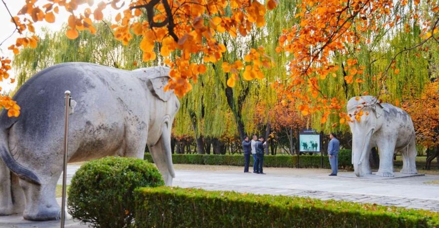 Beijing: Summer Palace, Sacred Road&Ming Tombs Private Tour - Walking the 500-year-old Sacred Way