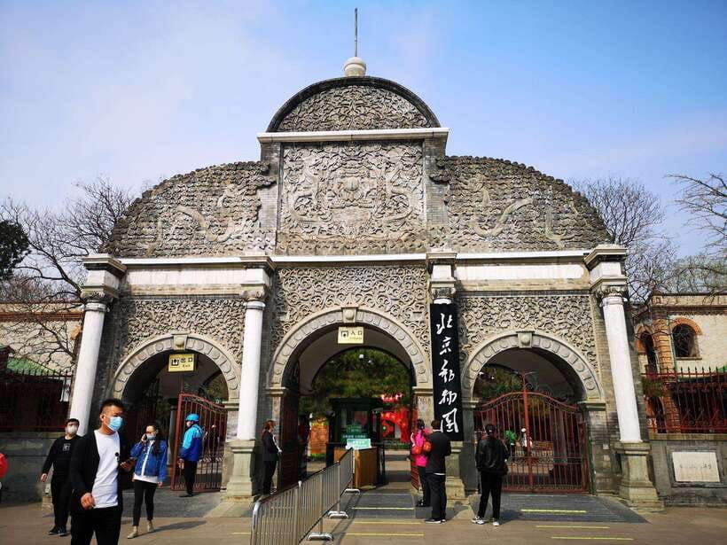 Beijing: The Beijing Zoo Entry Ticket with Pandas - What the $6 price really gets you