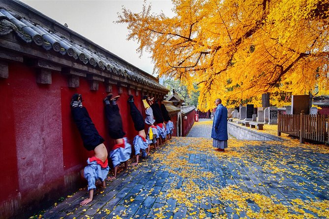 Best Luoyang Private One Day Tour - Meals, walking, and what to bring
