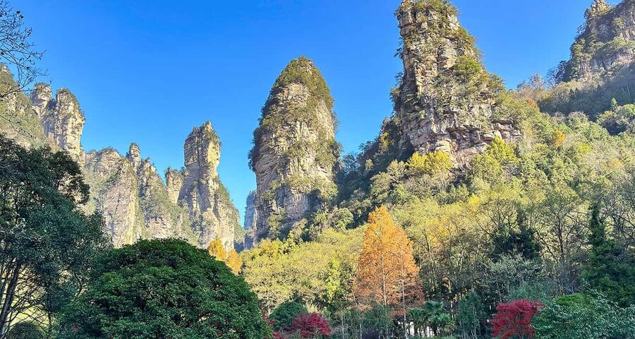 Best Mini Group to Zhangjiajie Forest Park & Avatar Mountain - The cable car descent saves your legs